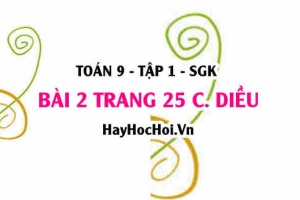 Bài 2 trang 25 Toán 9 tập 1 Cánh Diều